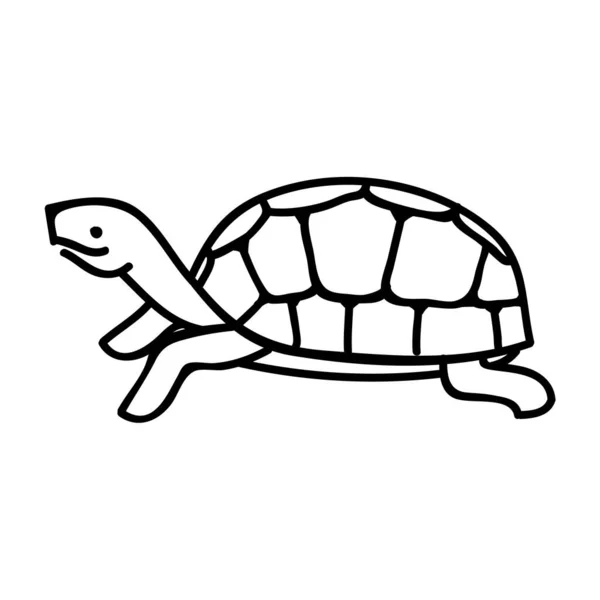 Tortuga Animal Reptil Mascota Ilustración Vectorial Dibujada Mano Carrera Línea — Archivo Imágenes Vectoriales