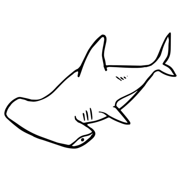 Icône Requin Chef Marteau Illustration Vectorielle Dessinée Main Prédateur Des — Image vectorielle