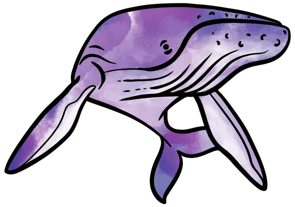 Ręcznie Rysowane Akwarela Styl Wieloryb Wektor Ilustracja — Wektor stockowy