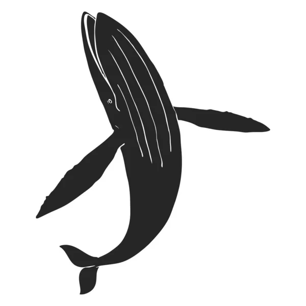 Illustrazione Vettoriale Balena Blu Disegnata Mano — Vettoriale Stock