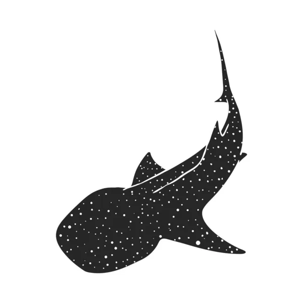 Illustration Vectorielle Requin Baleine Dessinée Main — Image vectorielle