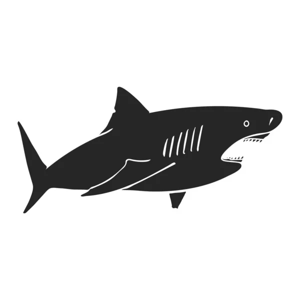 Mano Dibuja Ilustración Vector Tiburón — Archivo Imágenes Vectoriales