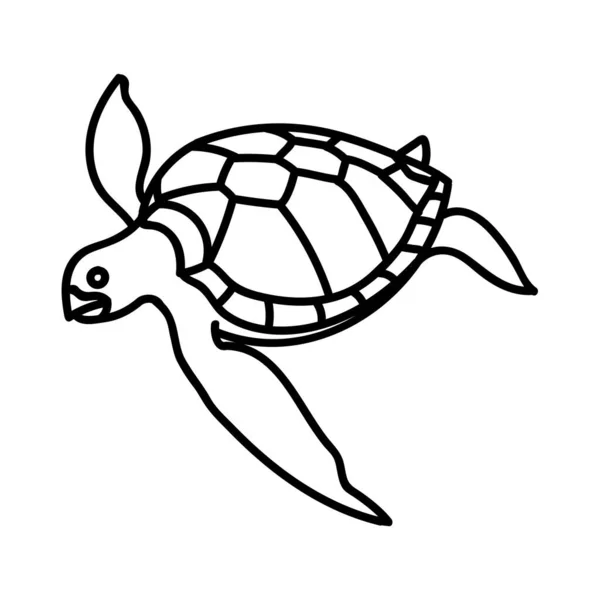 Icono Tortuga Marina Ilustración Vectorial Dibujada Mano Carrera Línea Editable — Archivo Imágenes Vectoriales