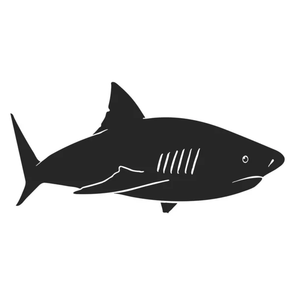 Mano Dibuja Ilustración Vector Tiburón — Vector de stock
