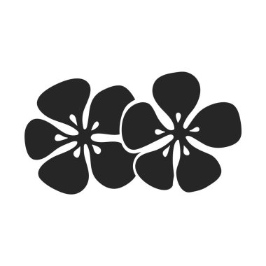 El çizimi Jasmine çiçek vektör illüstrasyonu