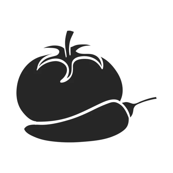 Hand Getekend Tomaat Peper Vector Illustratie — Stockvector