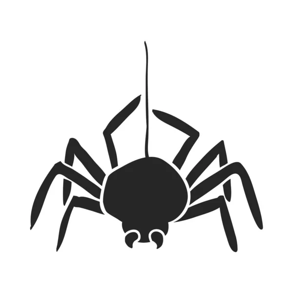 Mano Dibuja Ilustración Vector Araña — Archivo Imágenes Vectoriales