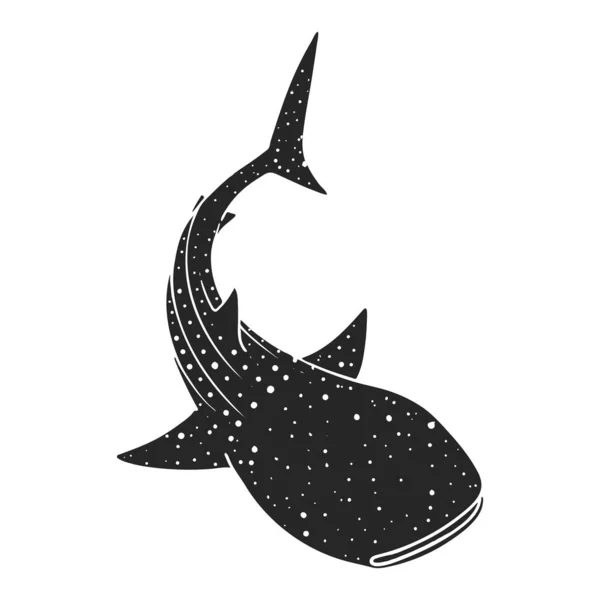 Ilustración Del Vector Tiburón Ballena Dibujado Mano — Vector de stock