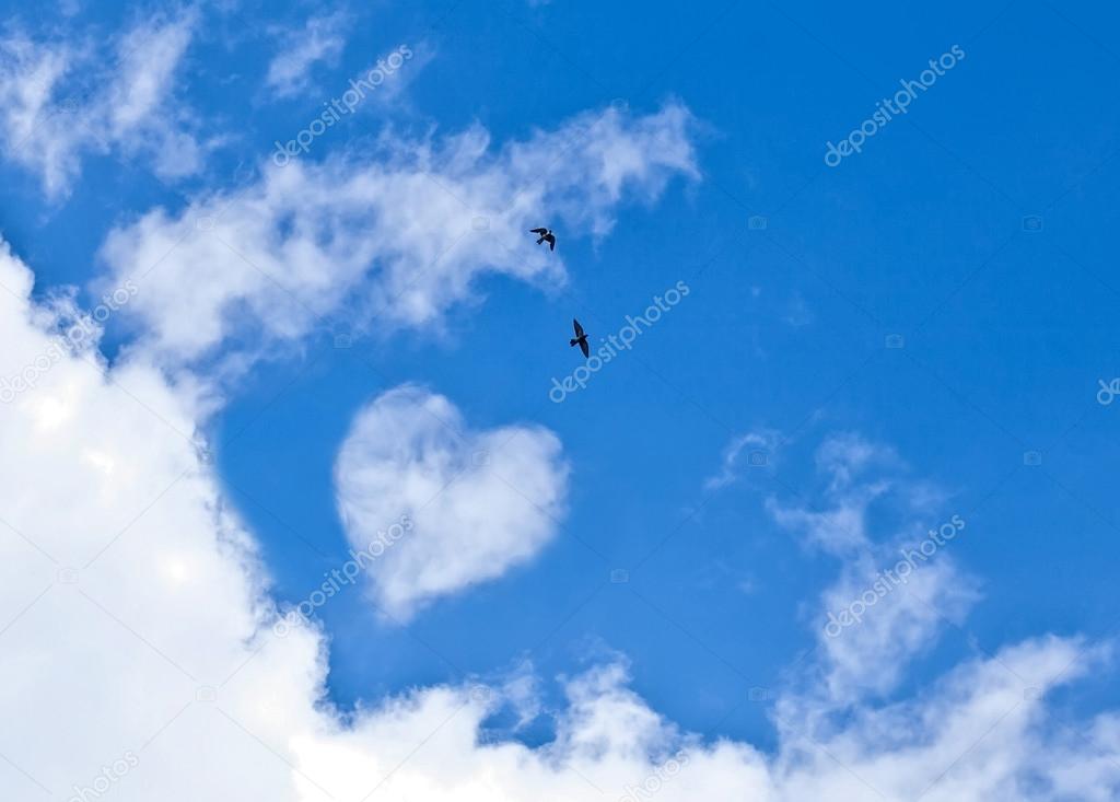 Birds flying in the blue sky