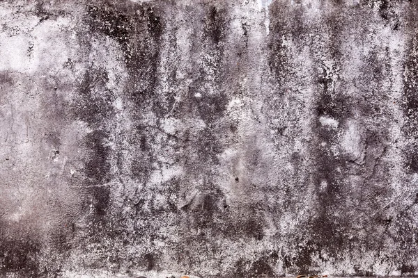 Grunge duvar