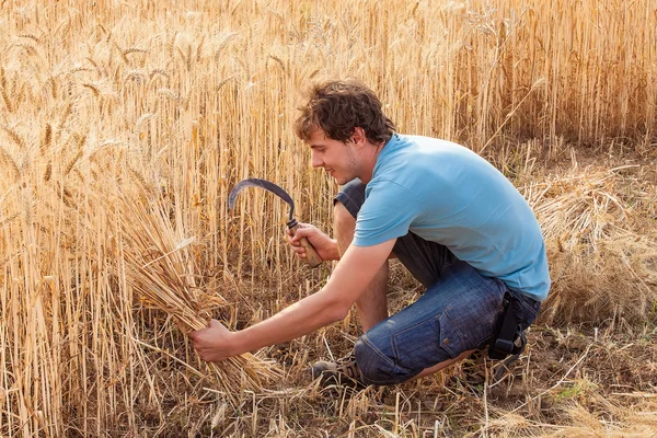 Portrait of smile farmer with sickle — Stock Photo, Image