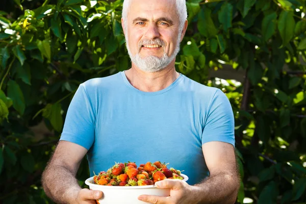 Seniorchef mit Erdbeere — Stockfoto