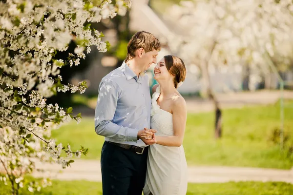 Portré, fiatal, szerelmes pár, virágos parkban — Stock Fotó