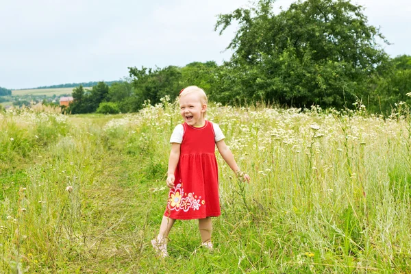 Dítě v louce — Stock fotografie