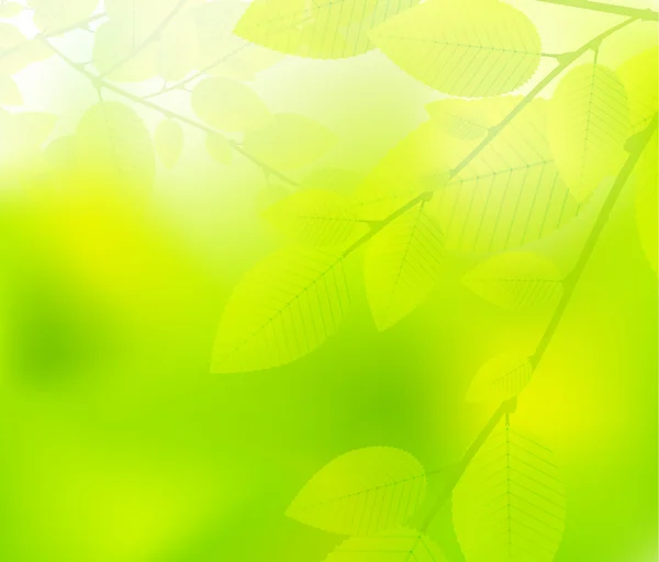 Groene bladeren aard ontwerp — Stockvector