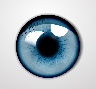 Vector eye