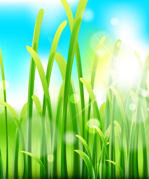 Yeşil yemyeşil çim ve gökyüzü. doğa makro arka plan — Stok Vektör