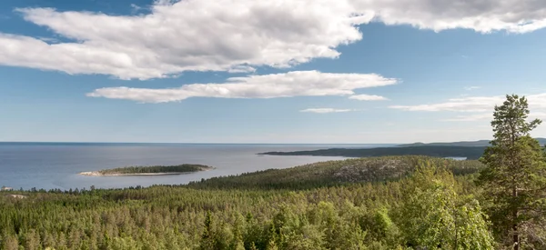 Sommarlandskap — Stockfoto