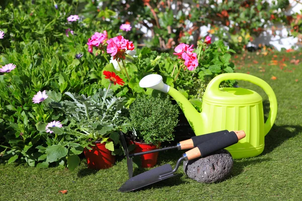 Pflanzen von Blumen mit Gartengeräten, verschiedenen Blumen und Kräutern in — Stockfoto