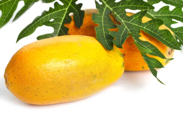 Papaya with green leaf isolated on a white background — Stok fotoğraf