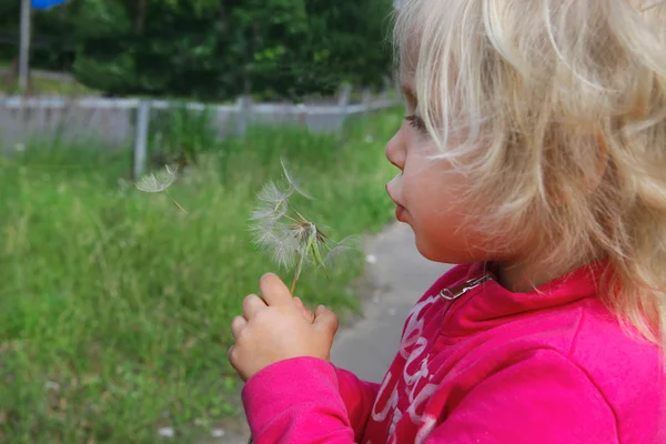 Schöne kleine lockige Mädchen pustet Löwenzahn, horizontale Aufnahme — Stockfoto