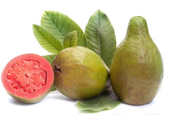 Fruta fresca de guayaba con hojas sobre fondo blanco — Foto de Stock