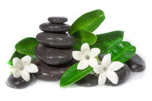 Flor blanca y piedras de spa en agua sobre blanco —  Fotos de Stock