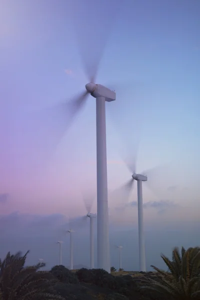 Ветряные мельницы Стоковая Картинка