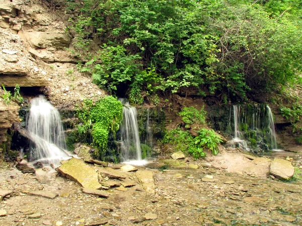 The springs — Stock Photo, Image