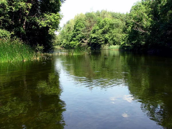 Zomer landschap — Stockfoto