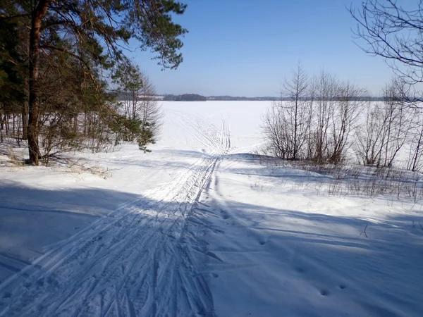 Winter — Stockfoto