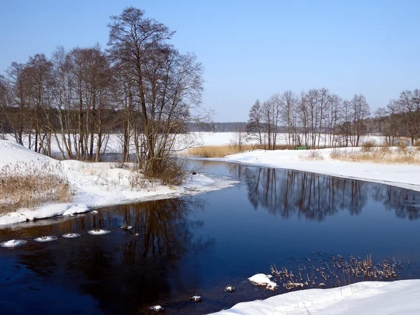 Vinter — Stockfoto