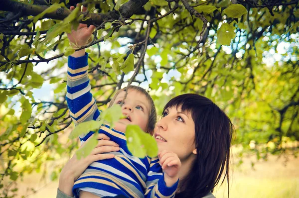 Joven madre sosteniendo a un niño bonito en la naturaleza bajo el tre —  Fotos de Stock
