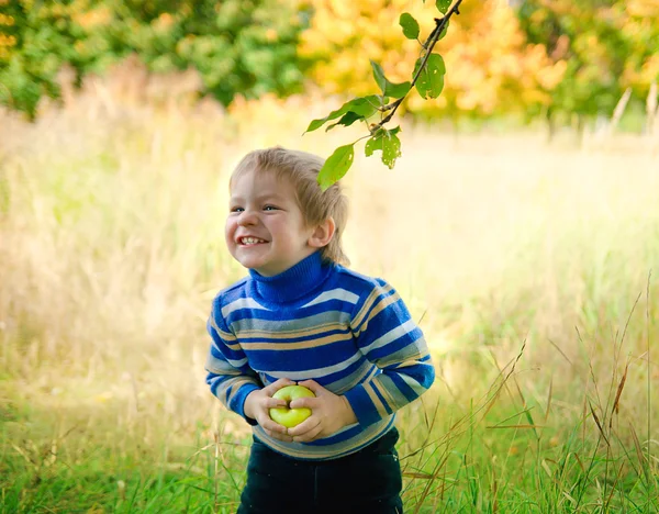 Pleased pretty boy plucked the apple from the tree — Stock Photo, Image