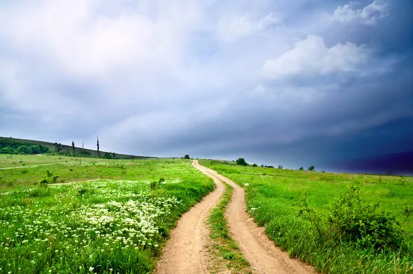 Hermoso prado verde y el camino antes de una tormenta — Foto de Stock