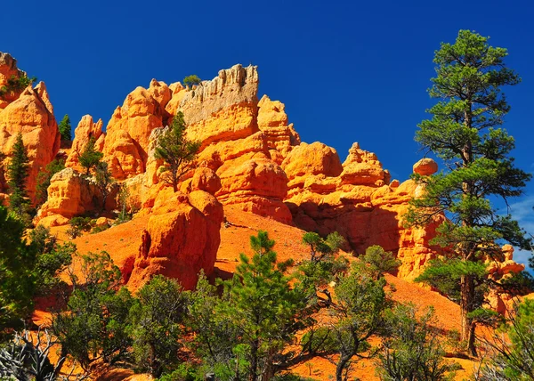 Rock formation in red canyon park in Utah. — Stock Photo, Image