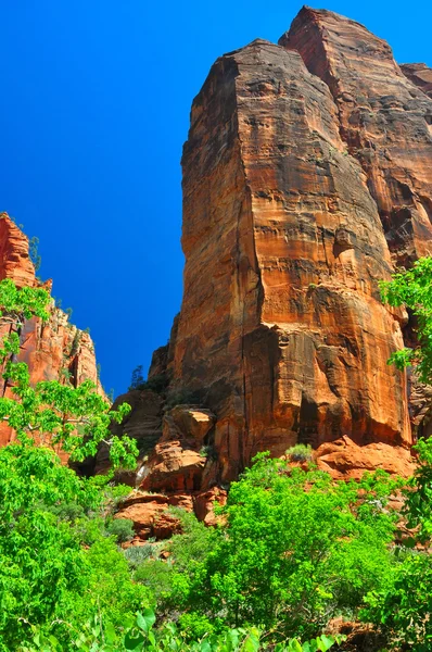 Jagged rock formation at Zion NP — Stock Photo, Image