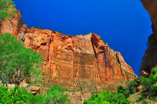 Sheer cliffs at Zion NP — Stock Photo, Image