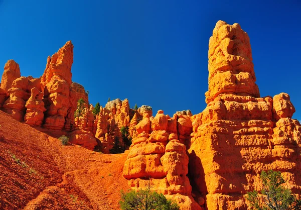 Skalní útvary v parku red canyon v Utahu. Royalty Free Stock Fotografie