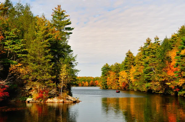 Podzim folliage a jezero Stock Snímky