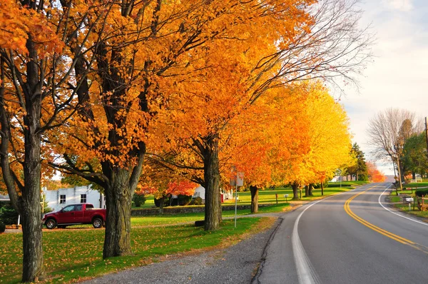 Camino escénico en otoño Imagen de archivo