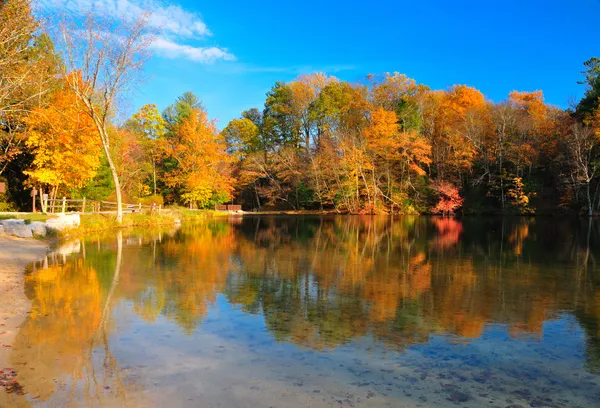 Vrchol fall listí na jezero Stock Obrázky