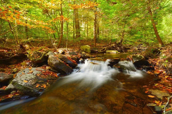 Kleiner Wasserfall im Wald — Stockfoto