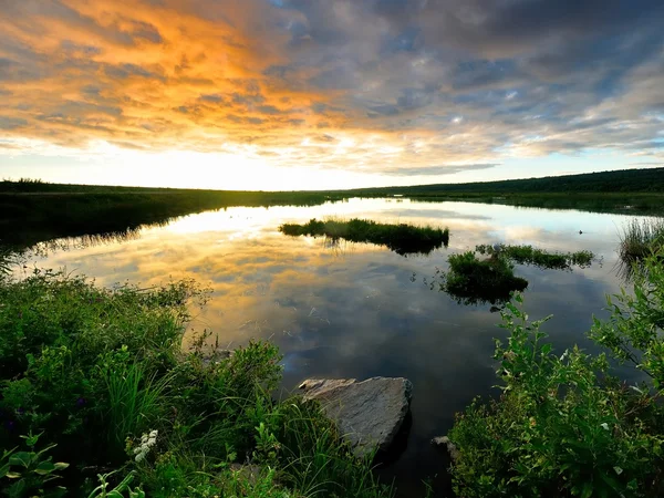 Golden sunset in Alaska — Stock Photo, Image