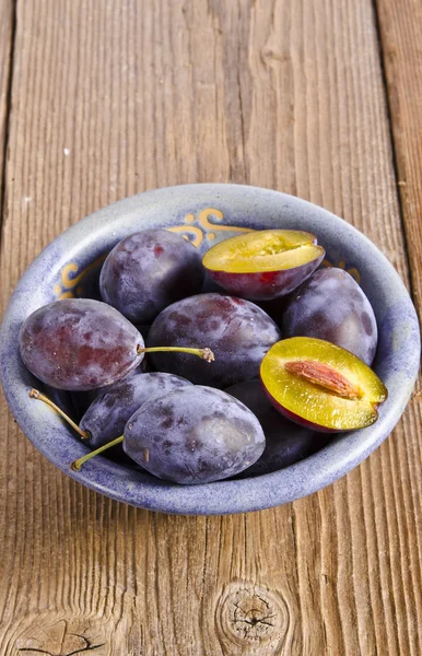 Prunus domestica — Stock Photo, Image