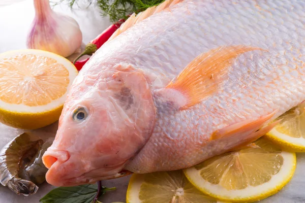 Frische rötet den Nil-Tilapia-Fisch (oreochromis niloticus)) — Stockfoto