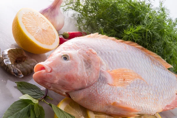 La frescura enrojece el pez tilapia del Nilo (Oreochromis niloticus ) —  Fotos de Stock