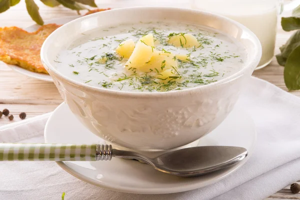 Dill soup — Stock Photo, Image