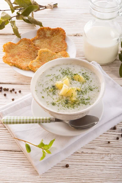 Zuppa di aneto — Foto Stock