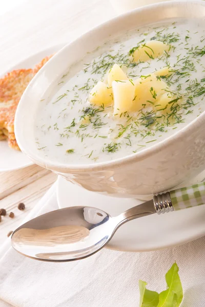 Dill soup — Stock Photo, Image